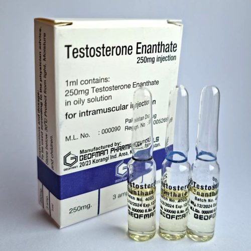 Compre Enantato de Testosterona 250mg - Geofman Pharmaceuticals - Imagem em Destaque