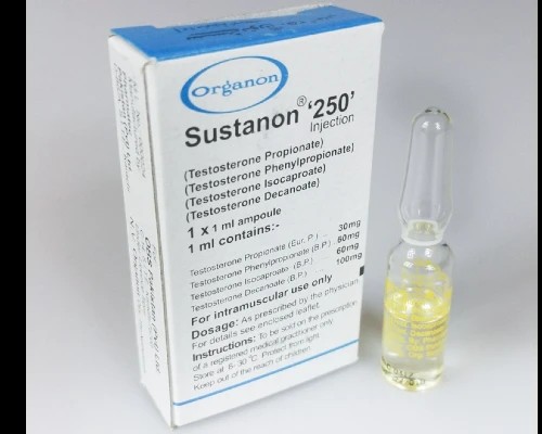 Compre Karachi Organon Sustanon - 3 x 250mg (Grau Farmacêutico) - Imagem em Destaque
